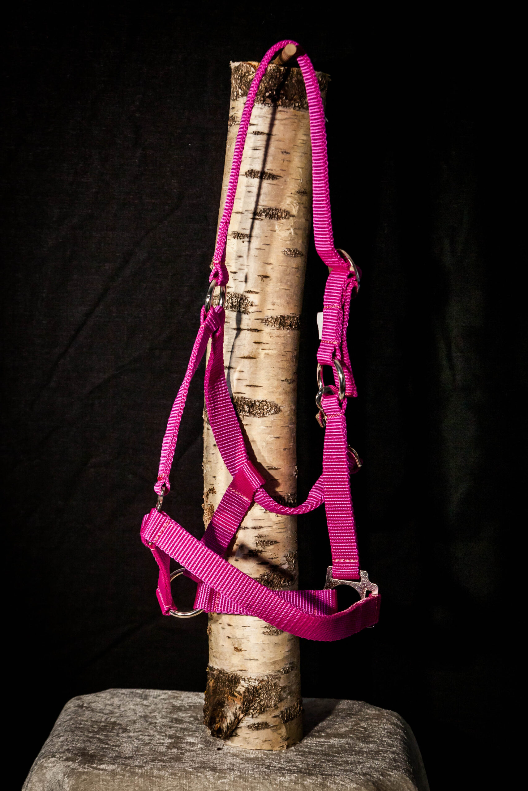 <span style= "color: #FF0000"><strong>Halfter Daily- Fuchsia</strong></span>